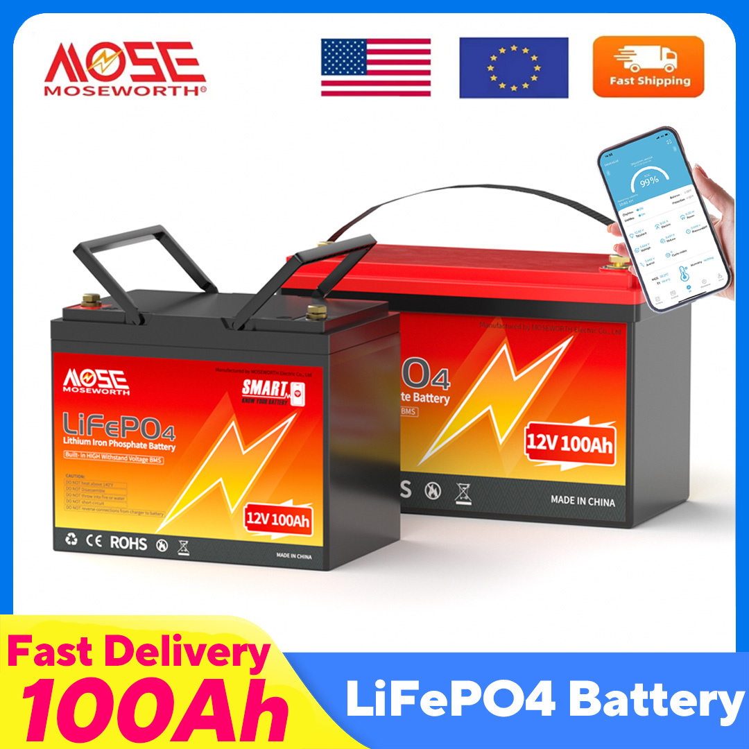 MOSEWORTH LiFePO4 12V 100Ah ba - Lifepo4 12V 100Ah Bms Bluetooth reseña y precio